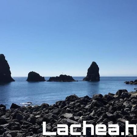 Lachea House Appartamento Sul Mare Dei Ciclopi 아치카스텔로 외부 사진
