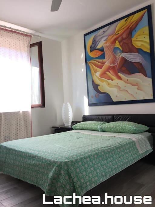 Lachea House Appartamento Sul Mare Dei Ciclopi 아치카스텔로 외부 사진